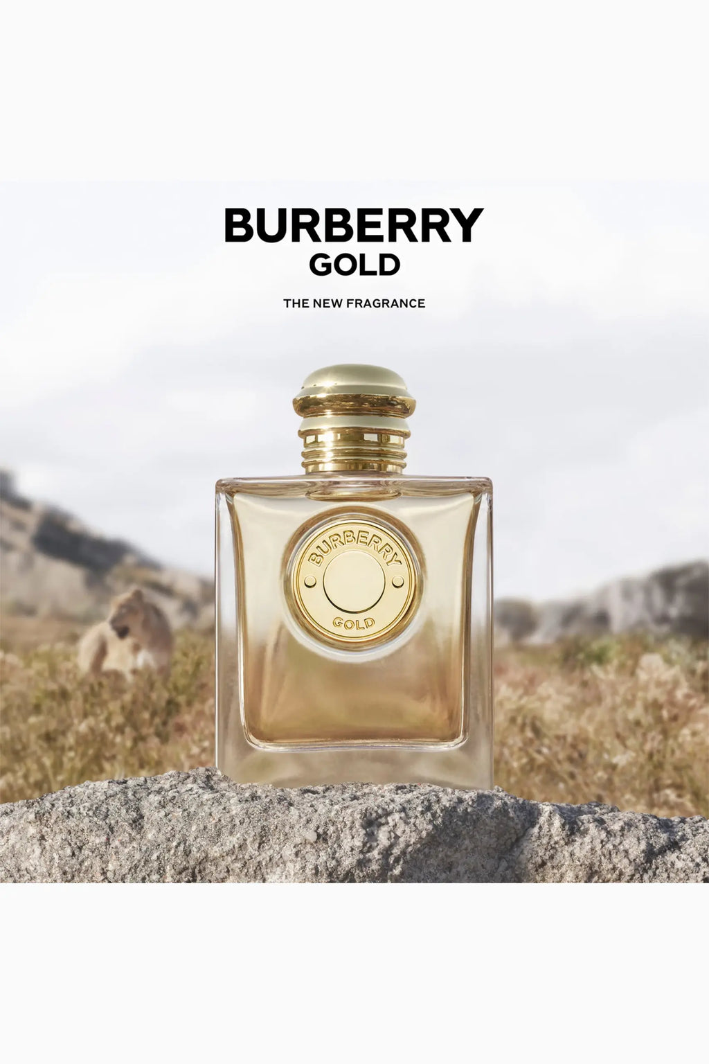 BURBERRY Gold Eau de Parfum