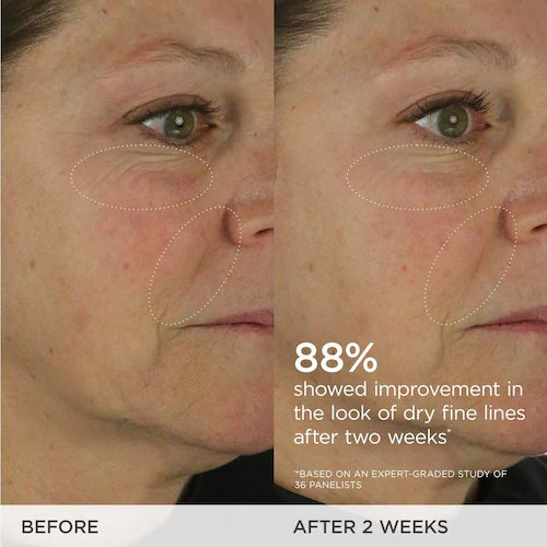 Tatcha The Dewy Skin Cream Plumping & Hydrating Refillable Moisturizer