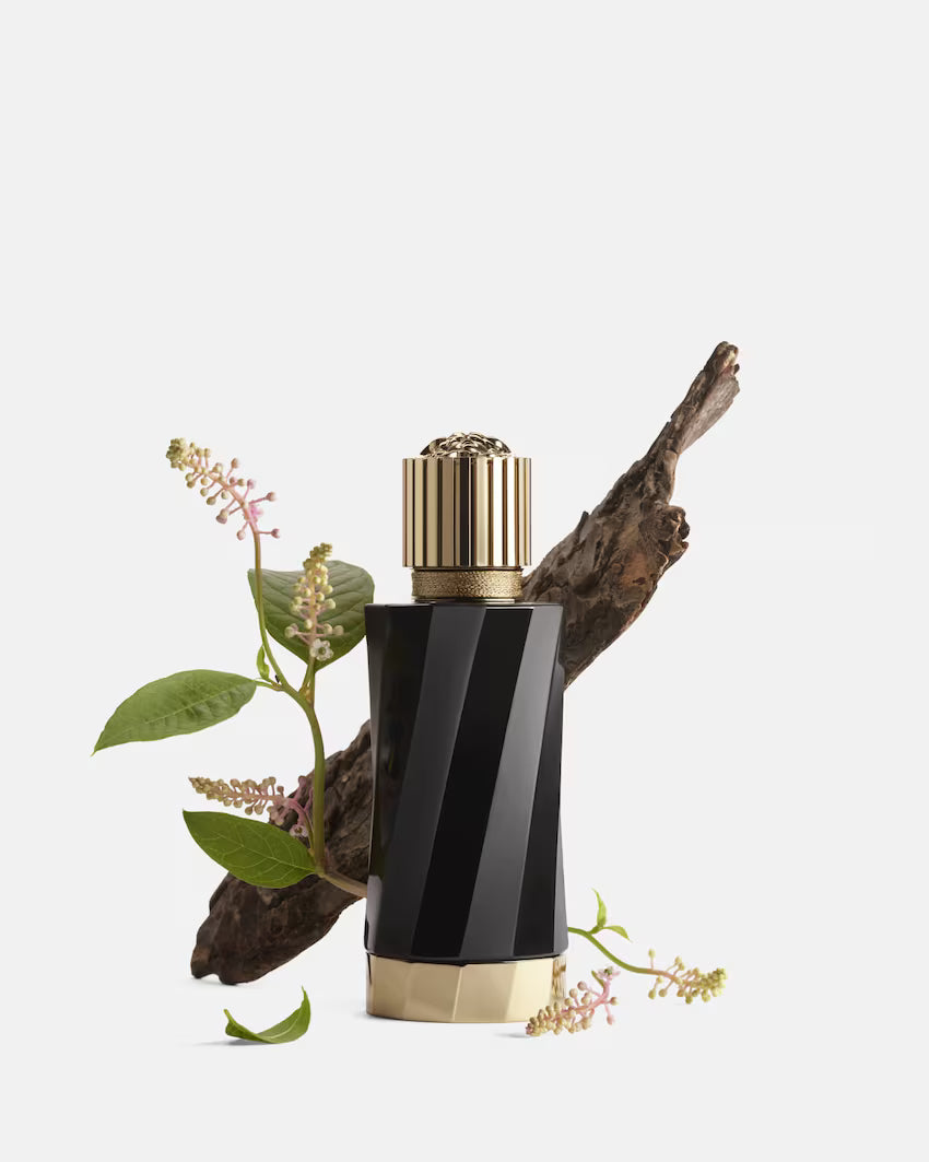 عطر فيرساتشي فلور دي ماتي