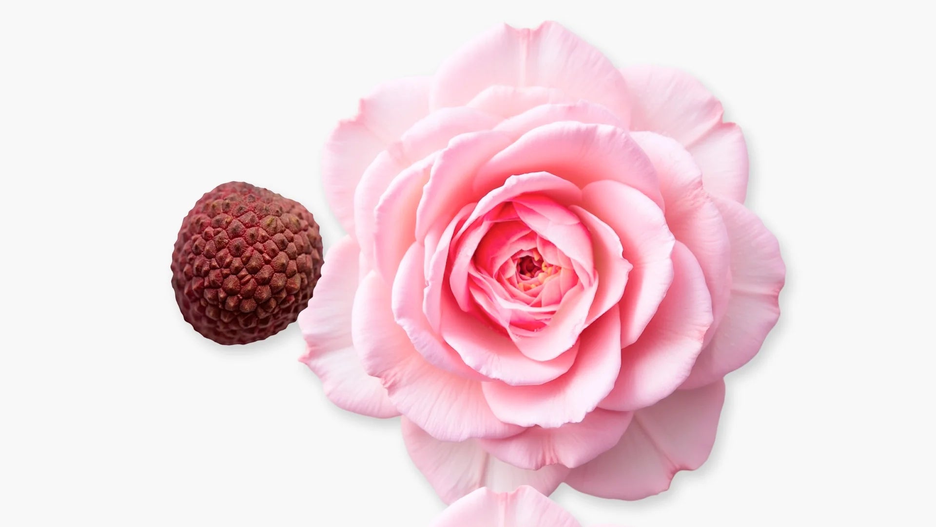 Parfums de Marly Delina La Rosée Eau de Parfum Spray