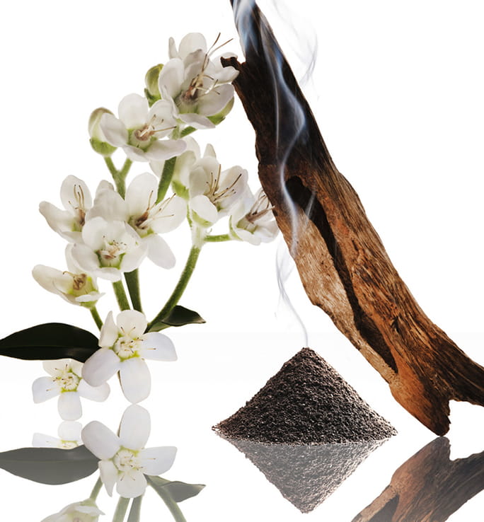 عطر نارسيسو رودريغيز عود مسك أو دي بارفان إنتنس