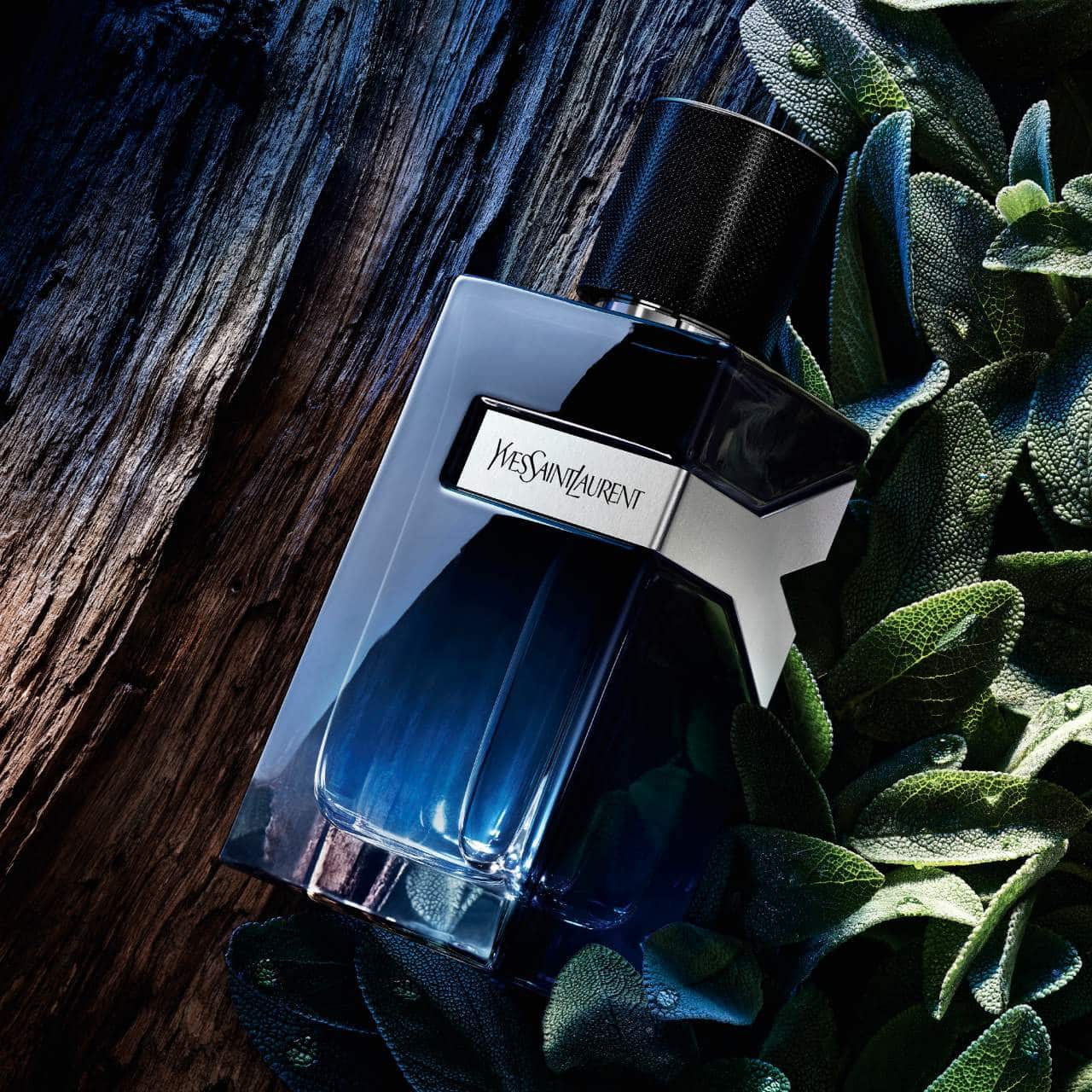Yves Saint Laurent  YSL Y Eau de Parfum with Fresh Geranium & Sensual Woods