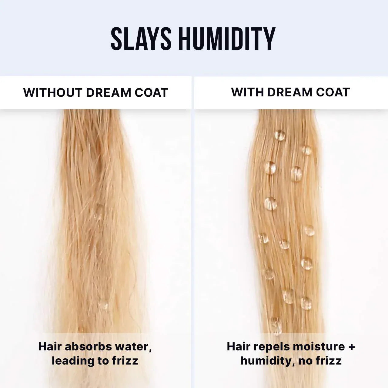 COLOR WOW  Dream Coat Iconic Frizz Fighters Hair Duo Gift Set